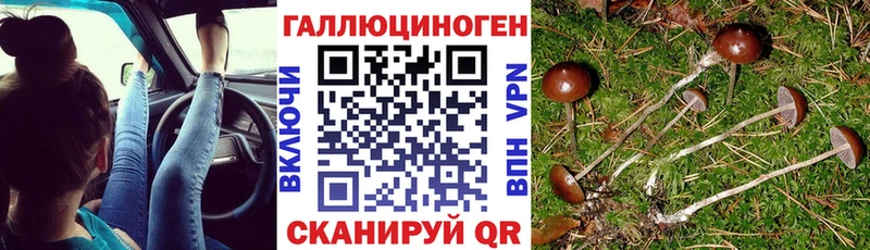 Псилоцибиновые грибы прущие грибы  где продают наркотики  Ельня 